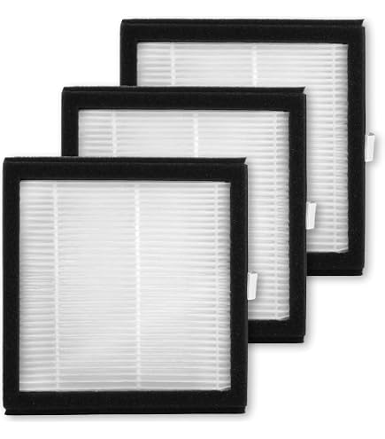 Amazon.com: 4 Pack DH02 Replacement Filter Compatible with Tenergy